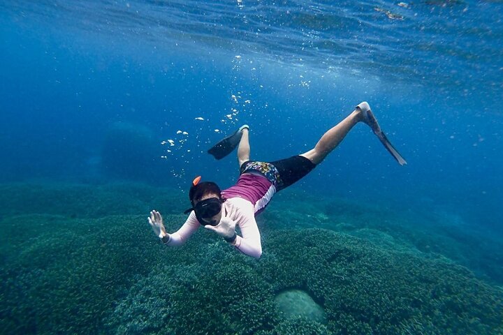 Swim with Manta Rays : Snorkeling Day Trip from Bali