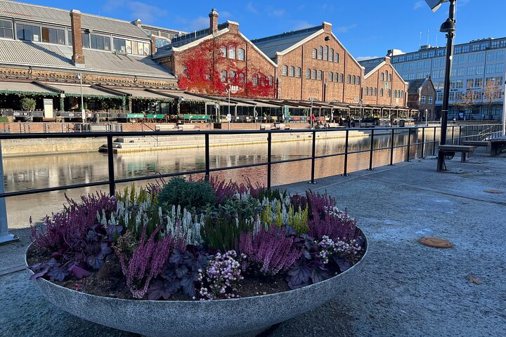 2 Hour City Walk through Trondheim