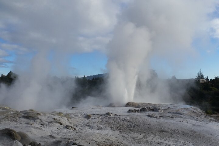 Private, via beaches, Kiwi farm to Rotorua 8 lakes & Geothermal