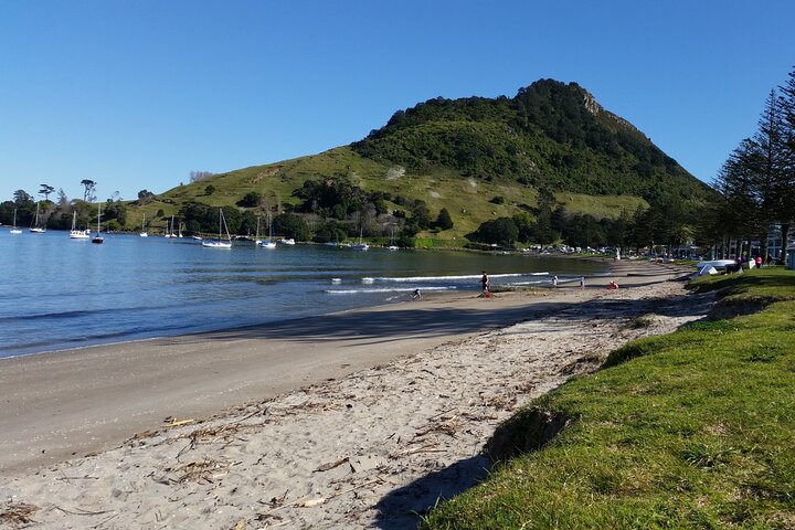 Rotorua via Kiwi/lakes country & a visit to iconic Whakarewarewa