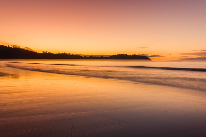 4 hours Sunset Tour on Waiheke Island