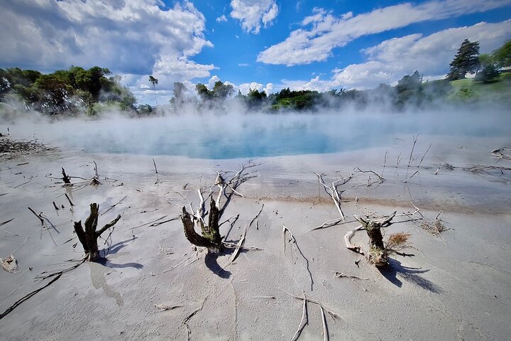 Private, via beaches, Kiwi farm to Rotorua 8 lakes & Geothermal