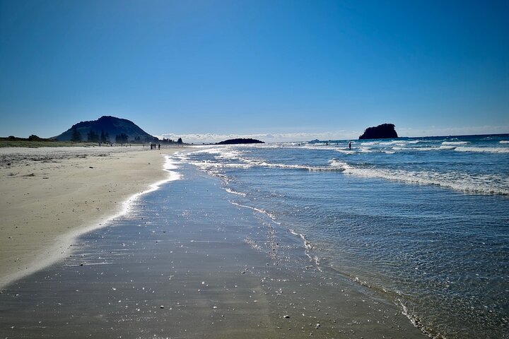 Private, via beaches, Kiwi farm to Rotorua 8 lakes & Geothermal