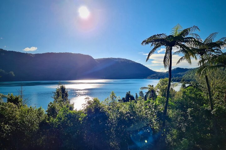Private, via beaches, Kiwi farm to Rotorua 8 lakes & Geothermal