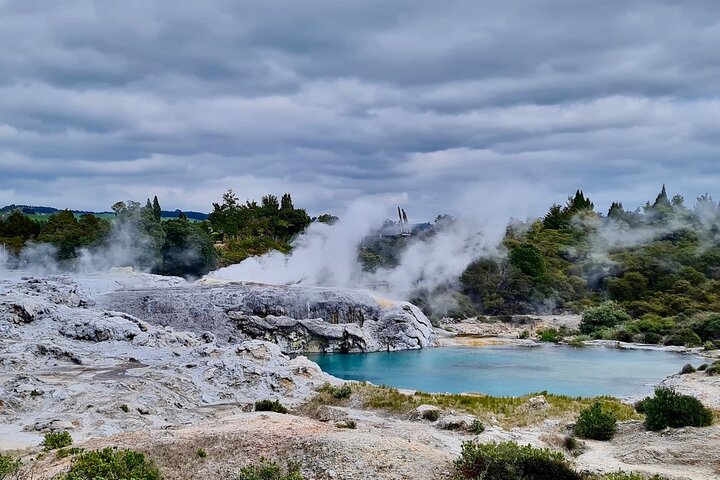 Private, via beaches, Kiwi farm to Rotorua 8 lakes & Geothermal