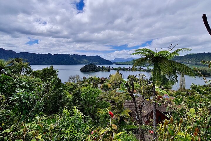 Private, via beaches, Kiwi farm to Rotorua 8 lakes & Geothermal