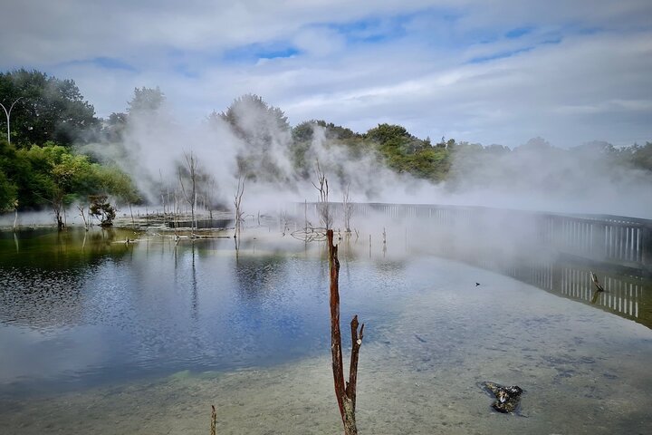 Private, via beaches, Kiwi farm to Rotorua 8 lakes & Geothermal