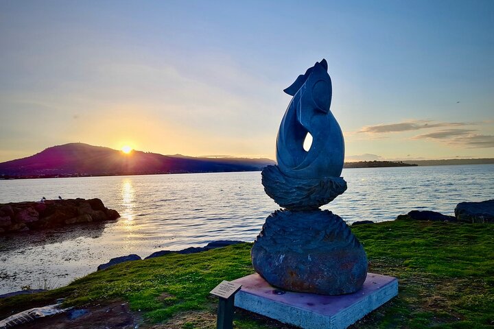Private, via beaches, Kiwi farm to Rotorua 8 lakes & Geothermal