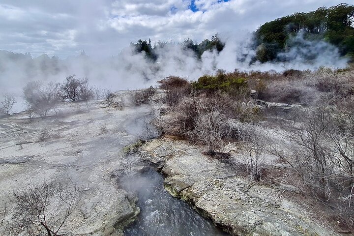Private, via beaches, Kiwi farm to Rotorua 8 lakes & Geothermal