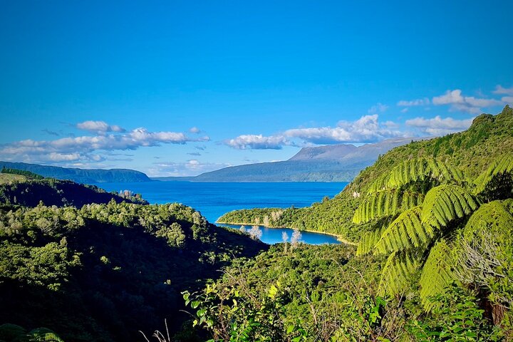 Private, via beaches, Kiwi farm to Rotorua 8 lakes & Geothermal