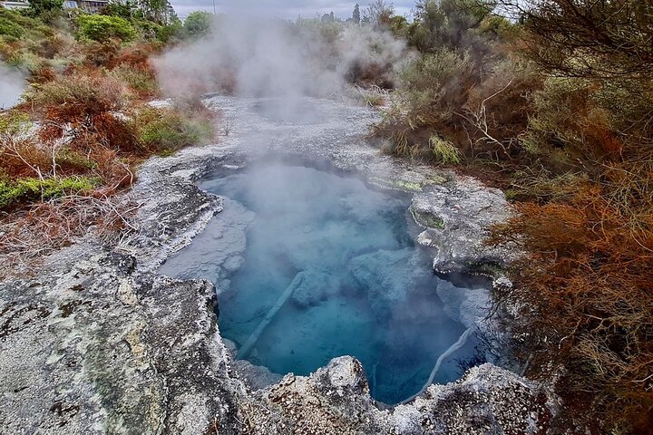 Private, via beaches, Kiwi farm to Rotorua 8 lakes & Geothermal