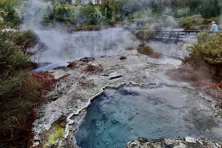 Private, via beaches, Kiwi farm to Rotorua 8 lakes & Geothermal