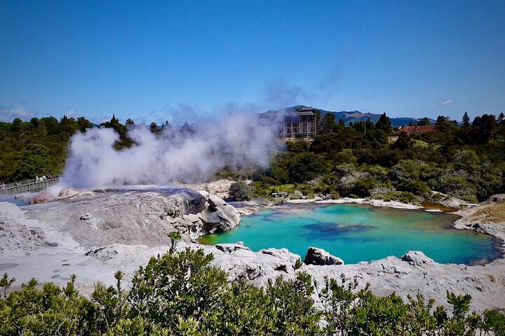 Private, via beaches, Kiwi farm to Rotorua 8 lakes & Geothermal