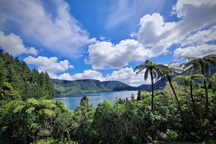 Private, via beaches, Kiwi farm to Rotorua 8 lakes & Geothermal