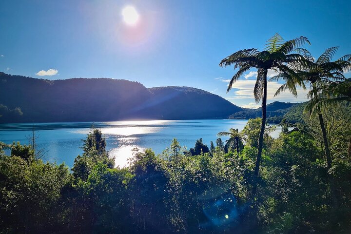 Rotorua via Kiwi/lakes country & a visit to iconic Whakarewarewa