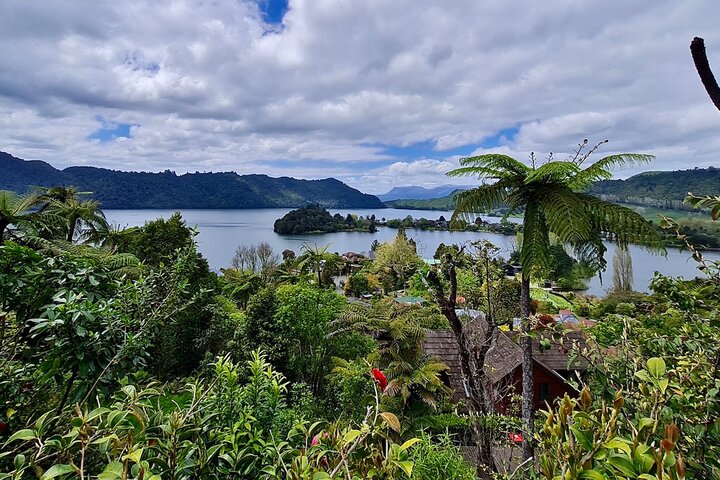 Rotorua via Kiwi/lakes country & a visit to iconic Whakarewarewa
