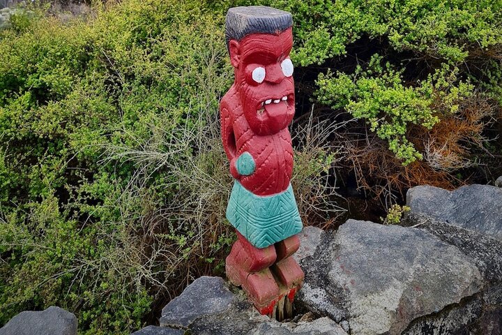 Rotorua via Kiwi/lakes country & a visit to iconic Whakarewarewa