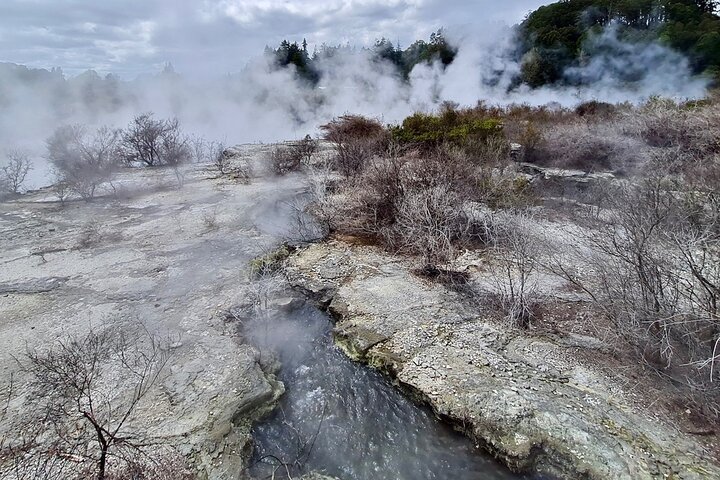Rotorua via Kiwi/lakes country & a visit to iconic Whakarewarewa