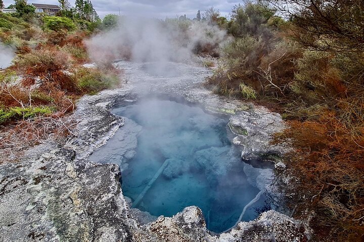 Rotorua via Kiwi/lakes country & a visit to iconic Whakarewarewa