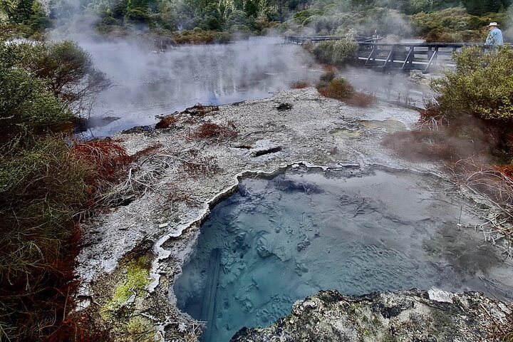 Rotorua via Kiwi/lakes country & a visit to iconic Whakarewarewa