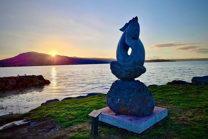 Rotorua via Kiwi/lakes country & a visit to iconic Whakarewarewa