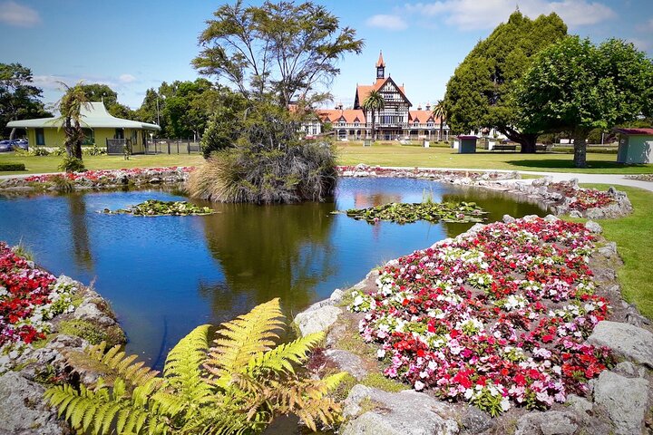 Rotorua via Kiwi/lakes country & a visit to iconic Whakarewarewa