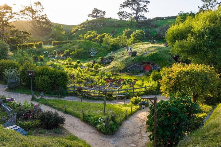 Hobbiton movie set tour and a lot more beautiful NZ sights