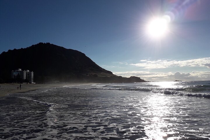 Private, via beaches, Kiwi farm to Rotorua 8 lakes & Geothermal