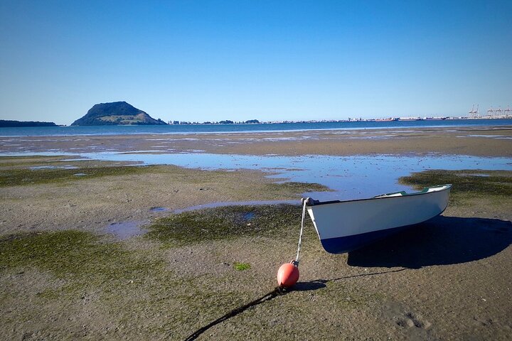 Private, via beaches, Kiwi farm to Rotorua 8 lakes & Geothermal