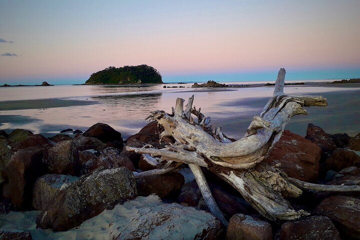 Private, via beaches, Kiwi farm to Rotorua 8 lakes & Geothermal