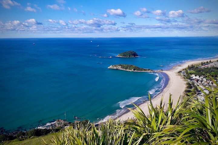 Private, via beaches, Kiwi farm to Rotorua 8 lakes & Geothermal