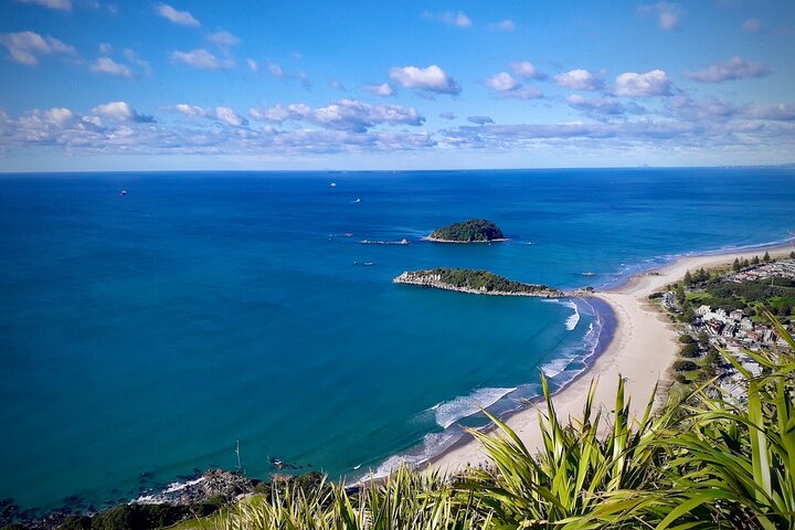 Rotorua via Kiwi/lakes country & a visit to iconic Whakarewarewa