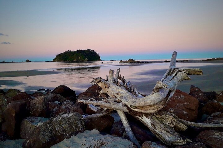 Rotorua via Kiwi/lakes country & a visit to iconic Whakarewarewa