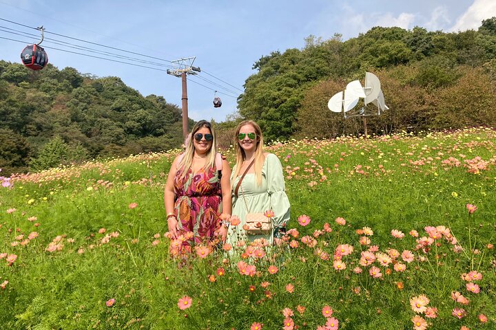 1-Day Kobe Highlights Tour including Sake Tasting