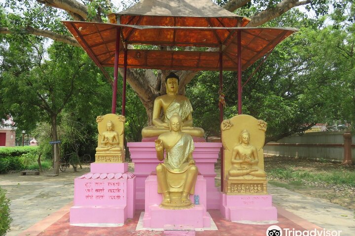 Day Trip To Sarnath from Varanasi