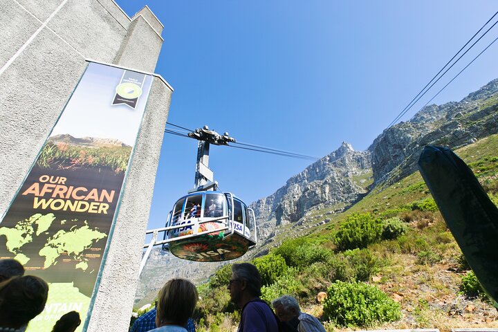 Table Mountain, Penguins & Cape Point Group Tour from Cape Town