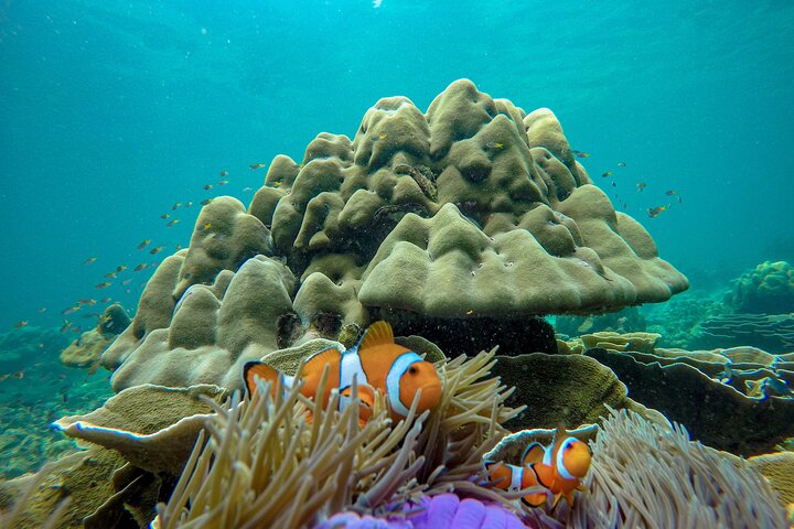 Phi Phi Islands Adventure Day Trip w/ Seaview Lunch by V. Marine