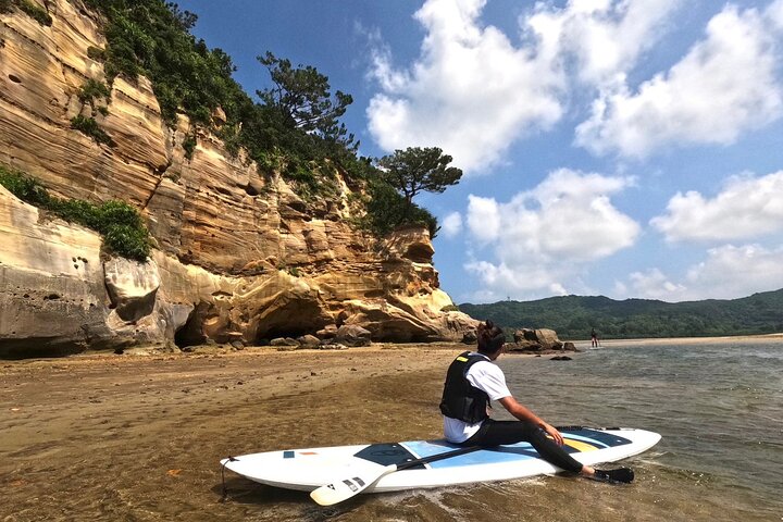 Okinawa Iriomote Mangrove SUP or Canoe Tour