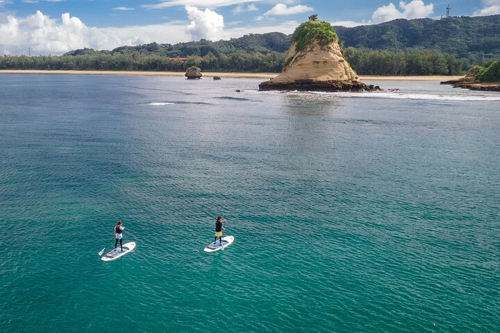Okinawa Iriomote Mangrove SUP or Canoe Tour