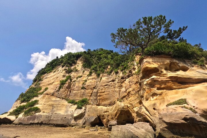Okinawa Iriomote Mangrove SUP or Canoe Tour