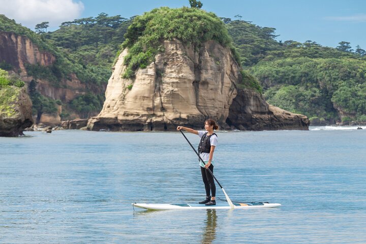 Okinawa Iriomote Mangrove SUP or Canoe Tour