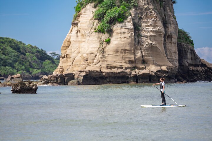 Okinawa Iriomote Mangrove SUP or Canoe Tour