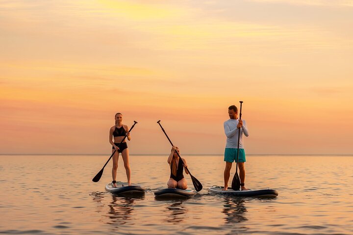 Bioluminescence Tour on Kayak or Paddle Board
