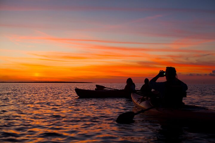 Bioluminescence Tour on Kayak or Paddle Board