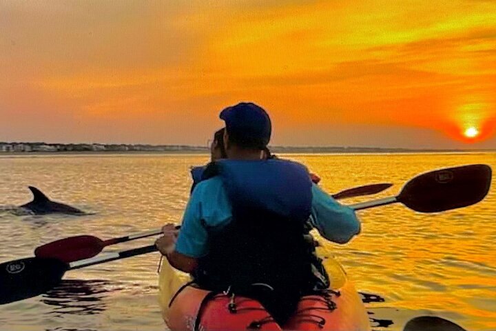 Bioluminescence Tour on Kayak or Paddle Board