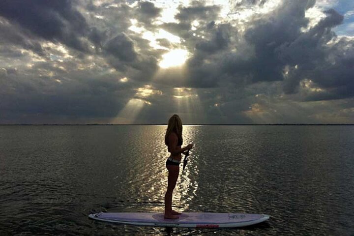 Bioluminescence Tour on Kayak or Paddle Board