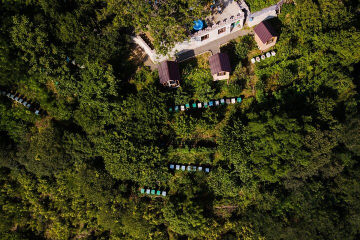 Beekeeping and Honey Wine Making Private Experience in Alaverdi