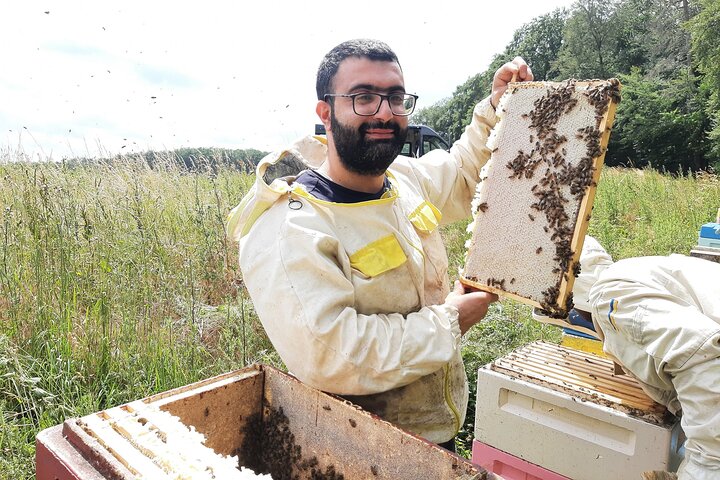 Beekeeping and Honey Wine Making Private Experience in Alaverdi
