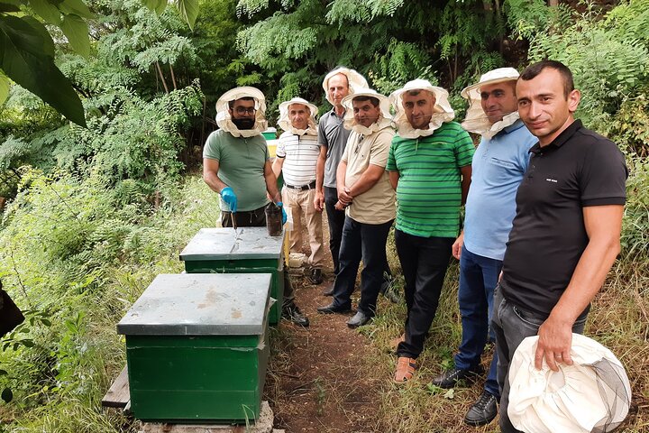Beekeeping and Honey Wine Making Private Experience in Alaverdi