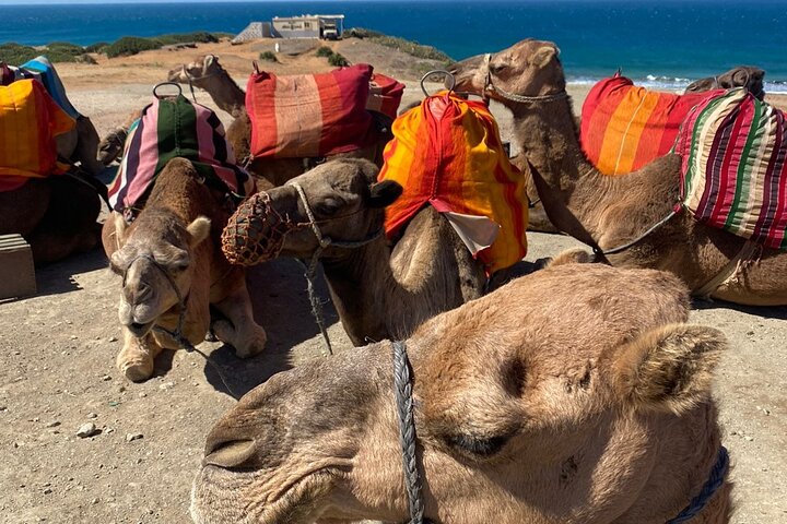 All inclusive luxury private Tangier Day Tour from Tarifa/Algecir